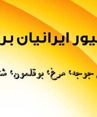 طیور ایرانیان برتر فروش جوجه مرغ بوقلمون شترمرغ در تهران