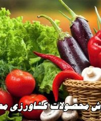 فروش محصولات کشاورزی معینی در تهران