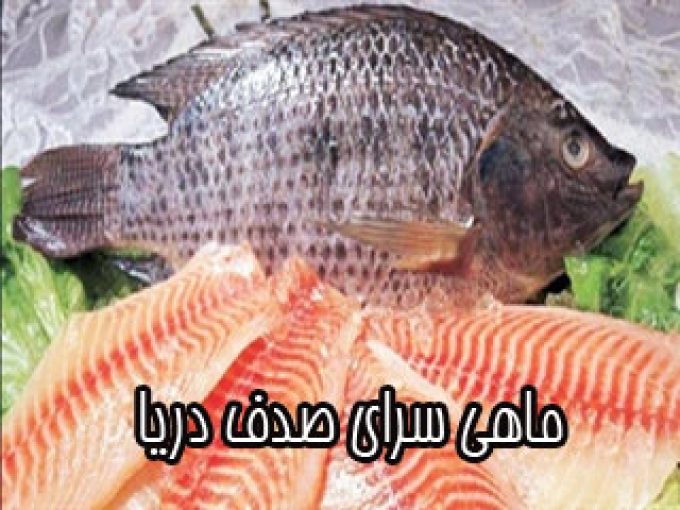 ماهی سرای صدف دریا در تهران
