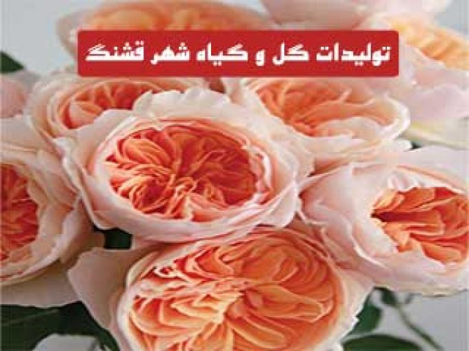 تولیدات گل و گیاه شهر قشنگ در تهران