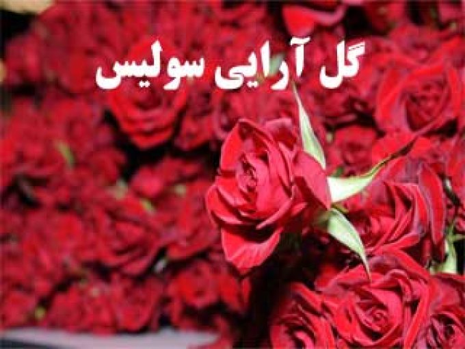 گل آرایی سولیس تهران