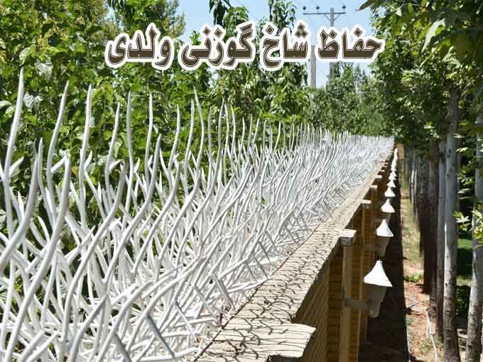 حفاظ شاخ گوزنی ولدی در تهران