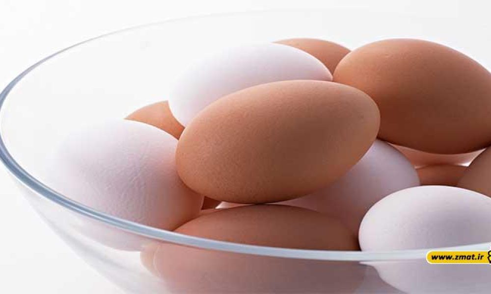 نکاتی درباره تخم مرغ باید بدانید