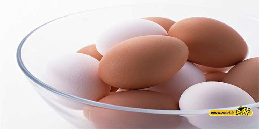 نکاتی درباره تخم مرغ باید بدانید