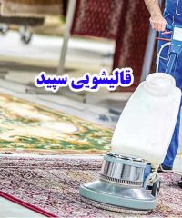 قالیشویی سپید در زنجان