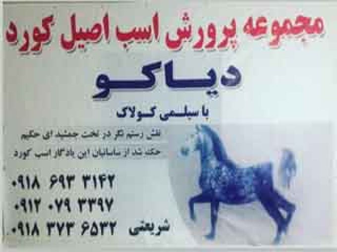 مجموعه تولید و پرورش اسب اصیل کرد دیاکو در زنجان