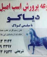 مجموعه تولید و پرورش اسب اصیل کرد دیاکو در زنجان