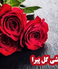 گلفروشی گل پیرا در زنجان