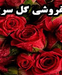 گلفروشی گل سرخ در زنجان