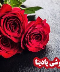 گلفروشی پادینا در زنجان