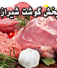 پخش گوشت شیرازی در شیراز