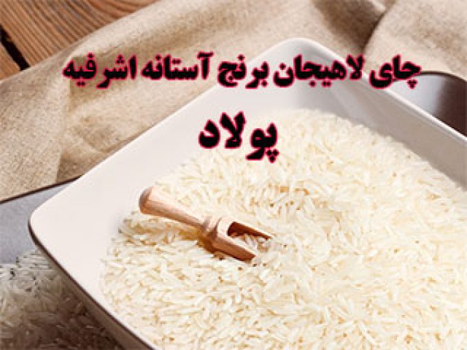 چای لاهیجان برنج آستانه اشرفیه پولاد در گرگان