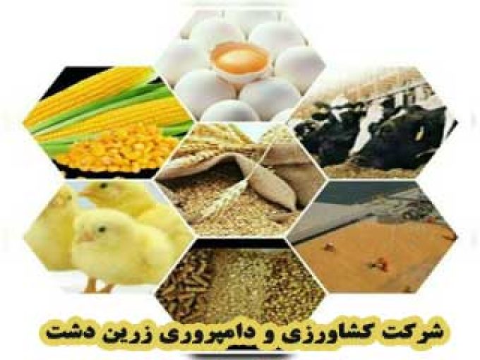 شرکت کشاورزی و دامپروری زرین دشت در همدان