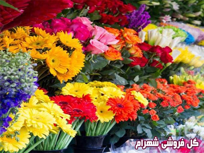 گل فروشی شهرام در کرج