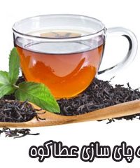 تولید مرغوب ترین چای بهاره ایران در شرکت عطاکوه لاهیجان