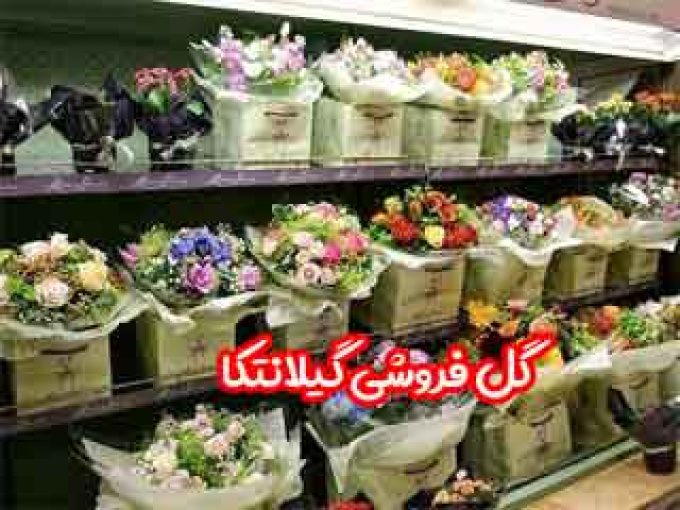 گل فروشی گیلانتکا در لاهیجان