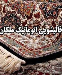 قالیشویی اتوماتیک ملکان در مشهد