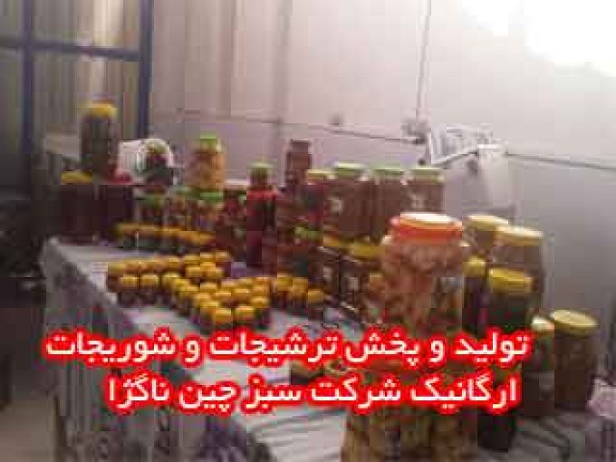 تولید و پخش ترشیجات و شوریجات ارگانیک شرکت سبز چین در مشهد و تهران