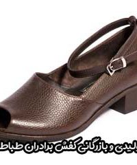 تولیدی و بازرگانی کفش برادران طباطبایی در مشهد