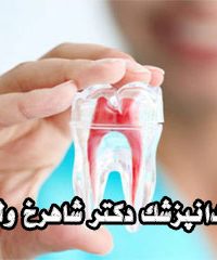 دندانپزشک دکتر شاهرخ ولوی در مشهد