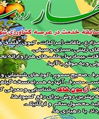 کلینیک گیاهپزشکی بهار شهرستان رودسر