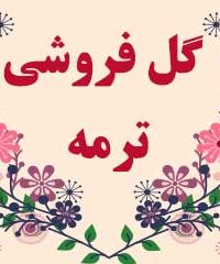 گل فروشی ترمه در شیراز