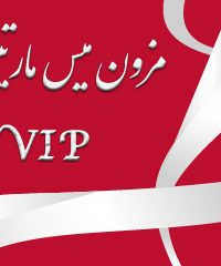 مزون میس مارتینی VIP در شیراز