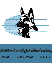 مجموعه پرورش و آموزش انواع نژاد سگ سانان کینگ داگ در شیراز