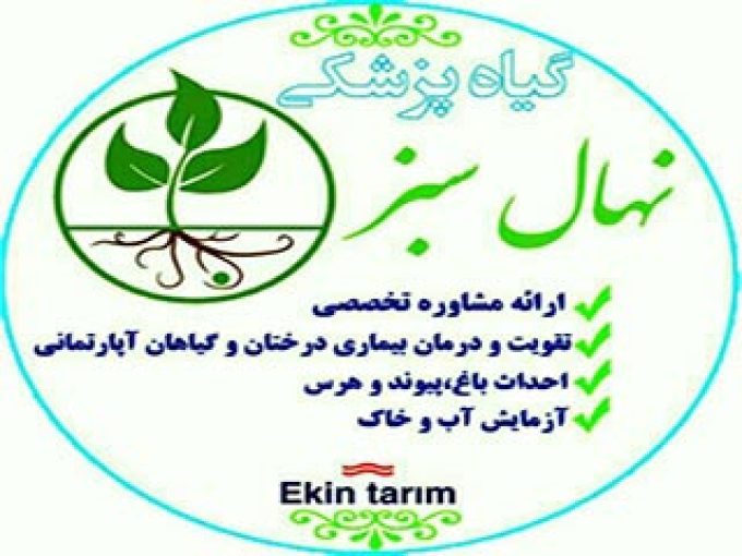 کلینیک گیاهپزشکی نهال سبز در تبریز