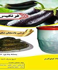 مواد غذایی خانگی فرنگیس در تهران