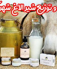 تولید و توزیع شیر الاغ شهر کن در تهران