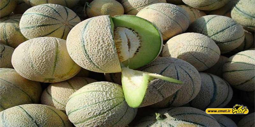 ارزش تغذیه ای طالبی