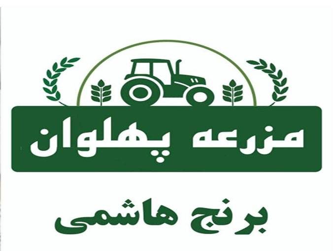 تولید و فروش انواع بهترین برنج بیولوژیک ایرانی و برنج رنگی قرمز مزرعه پهلوان در آمل مازندران