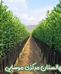 نهالستان مرکزی موسایی در میاندوآب