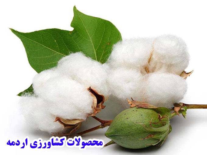 خرید و فروش محصولات کشاورزی و پنبه و کنجاله و گندم اردمه در نیشابور خراسان رضوی