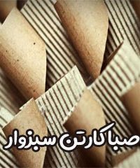 صبا کارتن سبزوار