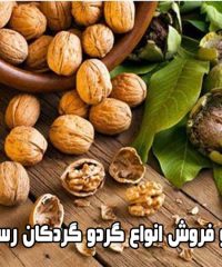 تولید و فروش انواع گردو گردکان گل محمدی در آستانه مرکزی