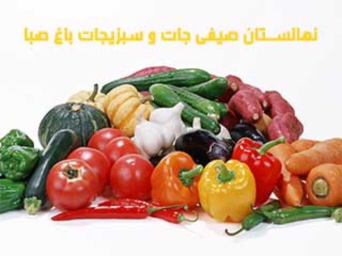 نهالستان صیفی جات و سبزیجات باغ صبا در بوشهر