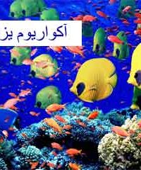 آکواریوم یزدانی در فارس