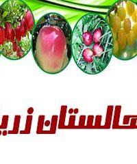 نهالستان زرینه در آذربایجان غربی