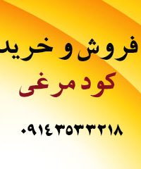 فروش و خرید کود مرغی در رشت