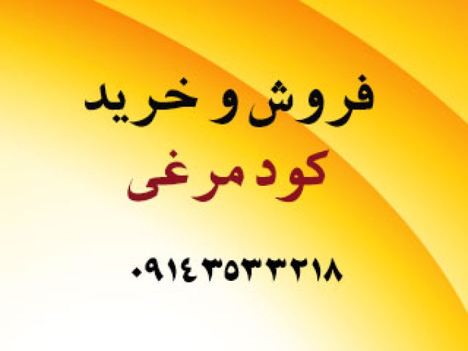 فروش و خرید کود مرغی در رشت