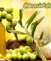 زیتون سرای امینی و پسران در مجتمع لاله هیدج