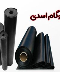 ایزوگام اسدی در زنجان