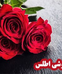 گلفروشی اطلس در زنجان