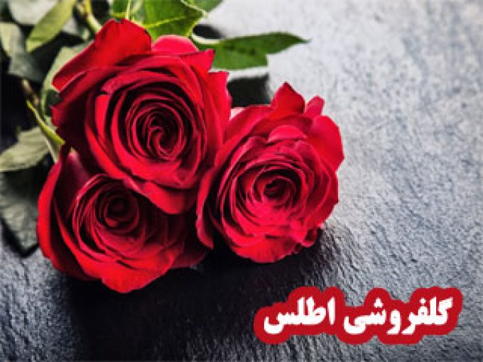 گلفروشی اطلس در زنجان