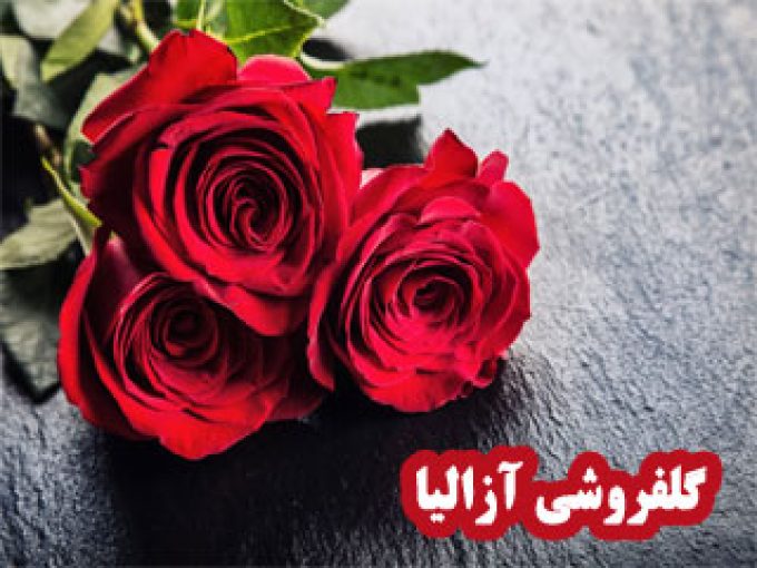 گلفروشی آزالیا در زنجان