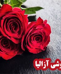 گلفروشی آزالیا در زنجان