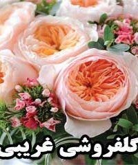 گلفروشی غریبی در زنجان