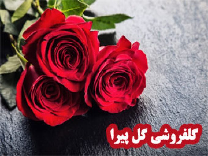 گلفروشی گل پیرا در زنجان